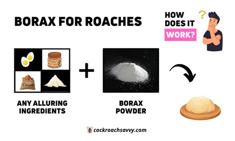 Borax For Roaches How Does It Eliminate These Pesky Insects