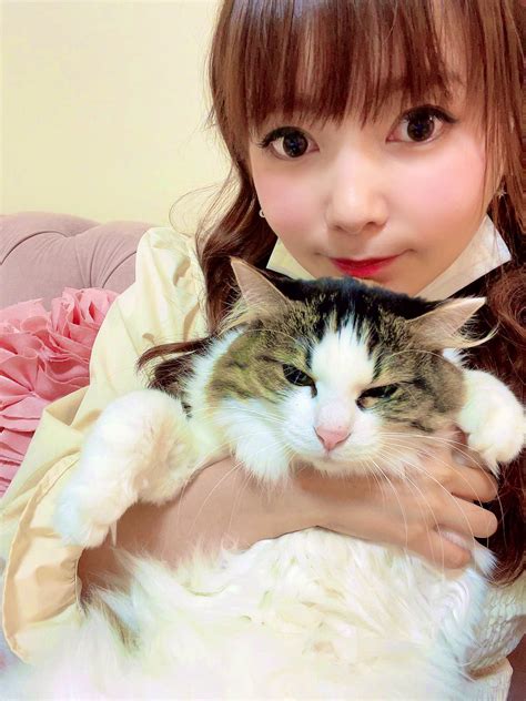 しぶとい中川翔子🌙⭐️ On Twitter お仕事おわりました Hp低まってるからみんなの猫の画像をください！！！