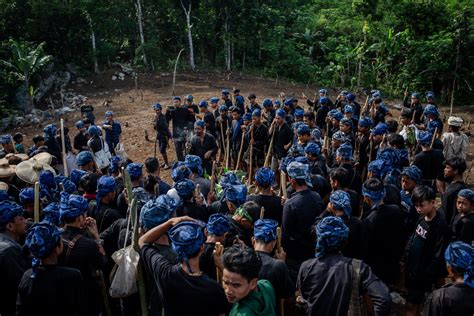 Foto Ngaseuk Tradisi Menanam Padi Ala Masyarakat Adat Suku Badui