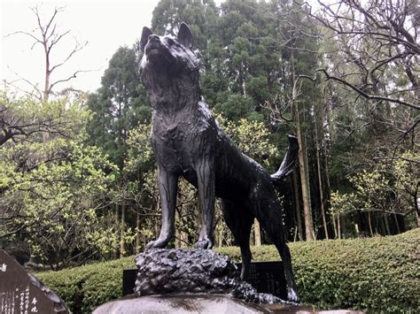 西郷隆盛愛犬ツンの銅像のクチコミ一覧 じゃらんnet