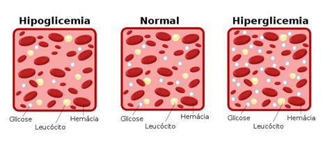 Glicose Biologia Net