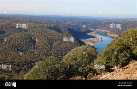 Rio Tajo Con Bajo Nivel De Agua Espa A Extremadura Monfrague Parque