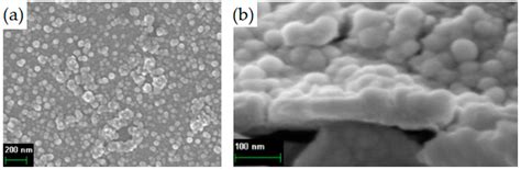 Coatings Free Full Text Plasma Enhanced Atomic Layer Deposition Of