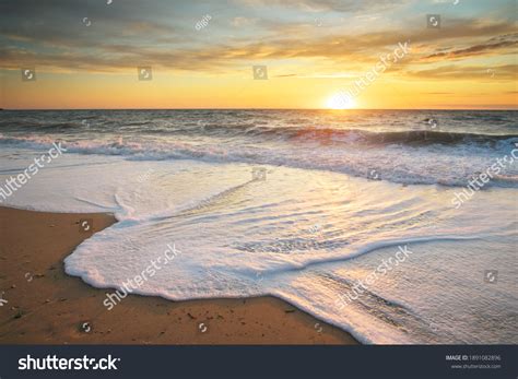 seashore   royalty  licensable stock  shutterstock