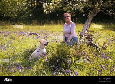 Mature Woman With Pet Labrador Smiling At Camera In A Field Of