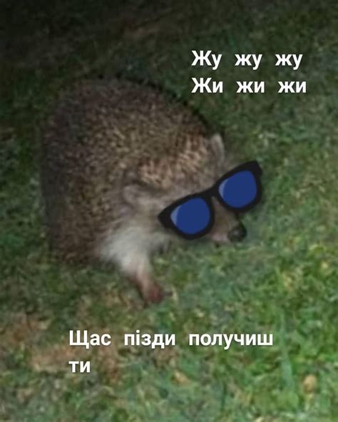 Жужужу