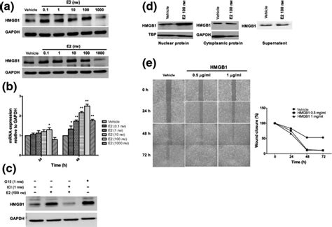 In Vivo Relative Quantitative Proteomics Reveals Hmgb1 As A Downstream