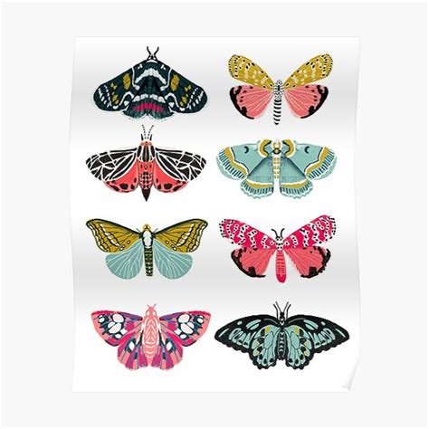 Moths And Butterflies Moth Sticker Pack Butterfly Sticker Pack Moth