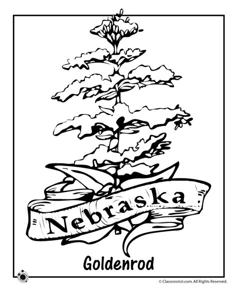 Coloring Nebraska Pages Husker Huskers Postcard Herbie Template Sketch Coloring Page