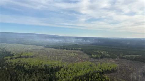 Fire Bans Still In Place For Grande Prairie High Level Forest Areas Everythinggp