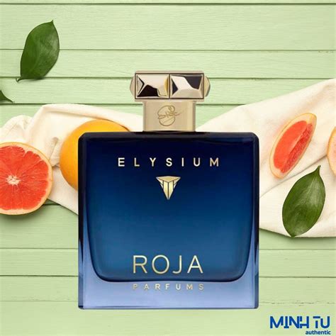 Roja Elysium Pour Homme Parfum Cologne Ml Ch Nh H Ng Tphcm