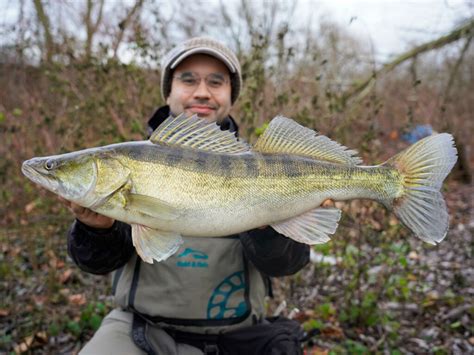 Comment pêcher le sandre Top 5 des techniques de pêche Magazine