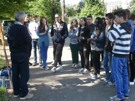 Scuola Media A Manuzio Latina Scalo Apa Lan