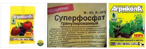 Как применять суперфосфат для помидор