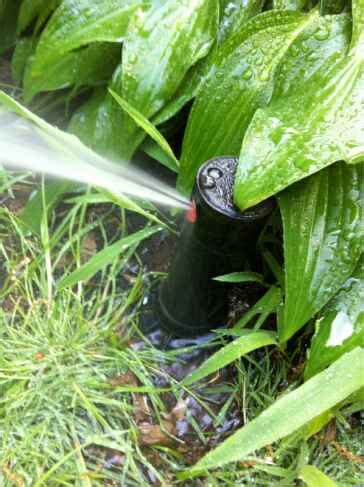 Sprinkler System Water Saving Tips - Southwest Irrigation