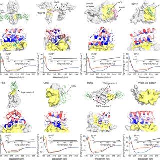 Overview Of The De Novo Protein Binder Design Pipeline A Schematic Of