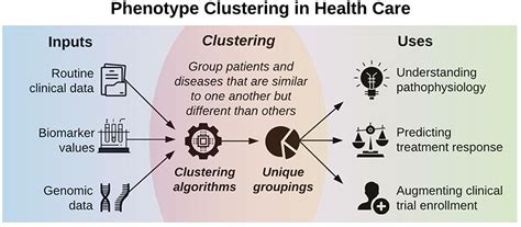 Frontiers Phenotype Clustering In Health Care A Narrative Review For