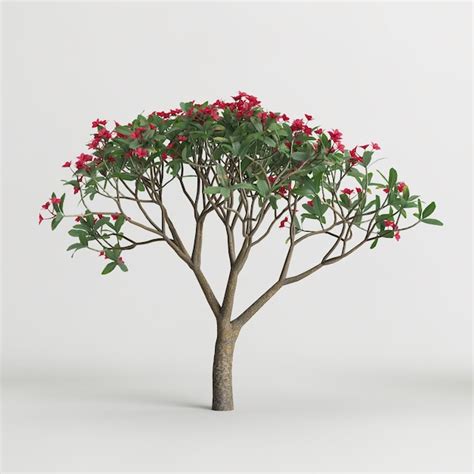 흰색 배경에 고립 된 Plumeria Rubra 나무의 3d 일러스트 프리미엄 사진