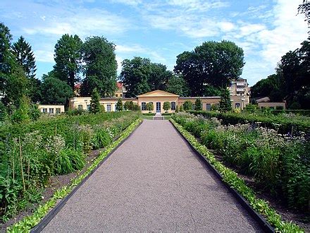 Linnaean Garden Wikipedia