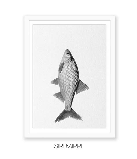 Fish Print Fish Art Fish Wall Art Bathroom Print Bathroom Etsy