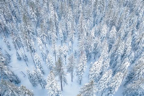 Aerial Winter Forest By Stocksy Contributor Casey McCallister Stocksy