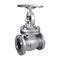 Globe Valve MXT 1821444 Series MerxTrade BV With Handwheel