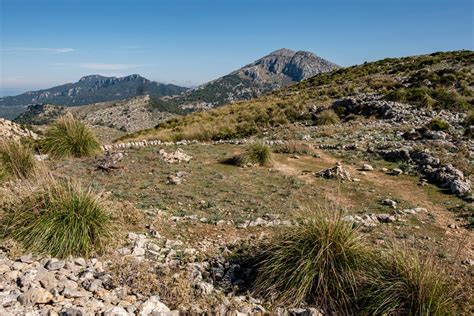 Fundación Biodiversidad on Twitter En España contamos con el 56 de