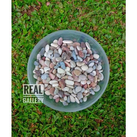 Jual Batu Coral Panca Warna Shopee Indonesia