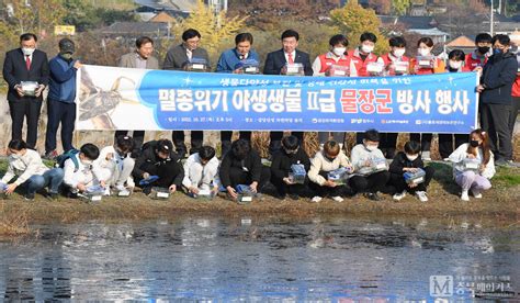 청주시 금강유역환경청 상당산성 자연마당에 멸종위기종 물장군 방사