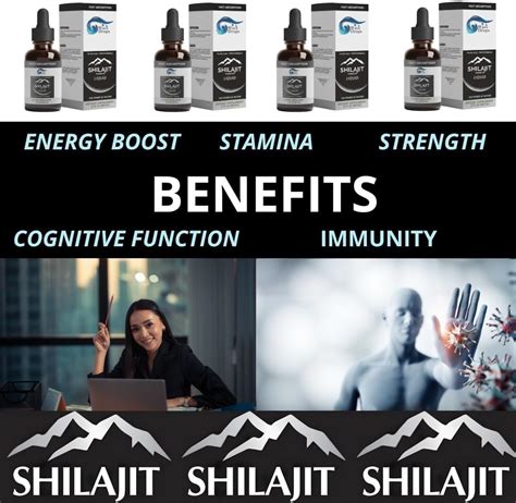 Gotas de Shilajit pura del Himalaya de energía diaria para hombres y