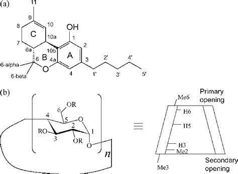 A Structure Of 9 Tetrahydrocannabinol Thc The Lettering Of The