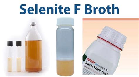 Selenite F Broth Composition Principle Uses Preparation And Result