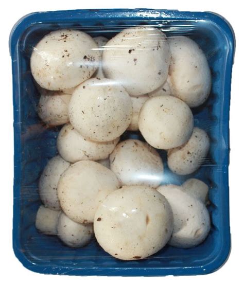 Organic White Button Mushroom Packaging Type Packet Packaging Size