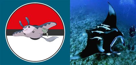 What Is The Fish Pokemon What Mantine Swims With Sale