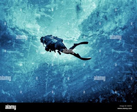 Young Female Scuba Diver Swimming In Mid Water Stock Photo Royalty