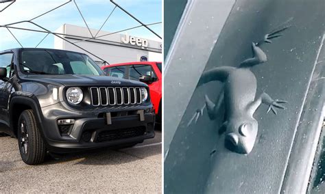 Jeep Wrangler Easter Egg Locations Outlet Jkuat Ac Ke