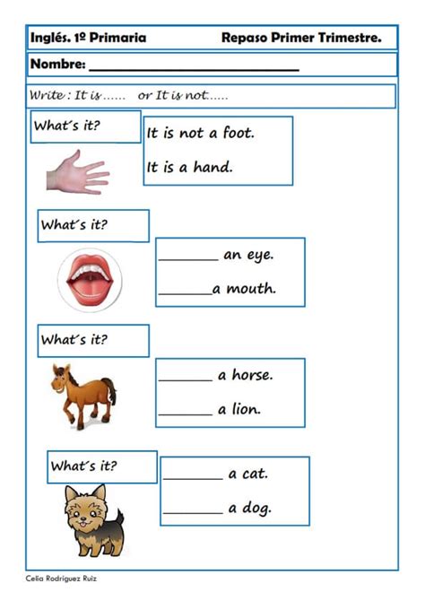 Fichas De Inglés Para Primero De Primaria