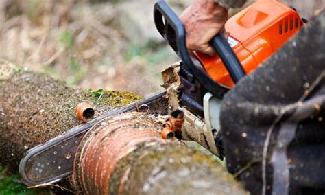 The Safe Way To Cut Wood With A Chainsaw Smart Tips