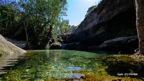 Nature Conservation In Madagascar Through Protected Areas Fondation