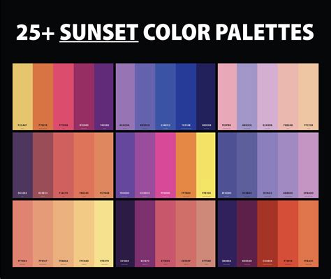 25 Best Sunset Color Palettes With Names And Hex Codes Creativebooster