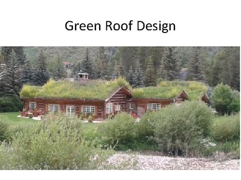 Green Roof Design Main Lesson Objectives 1 Understand