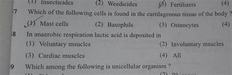 8 In anaerobic respiration lactic acid is deposited in | Filo