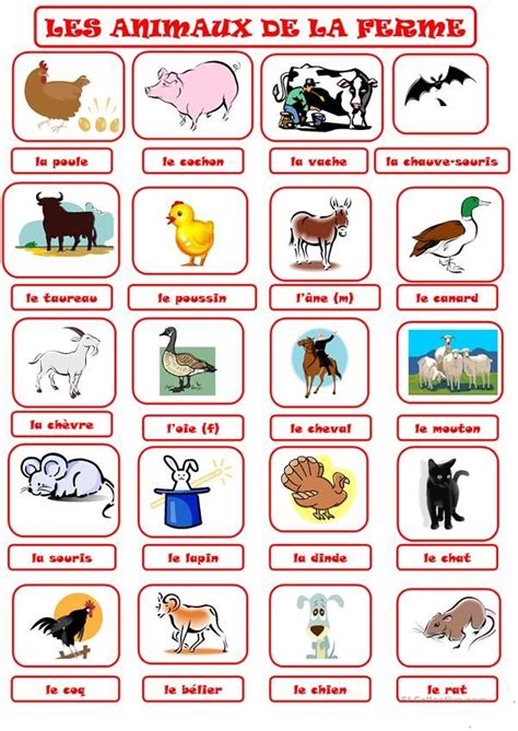 Les Animaux Domestiques En Français Animaux De Compagnie