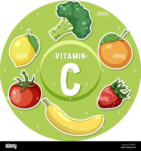 Ilustraci N Vectorial Colorida Que Muestra Alimentos Ricos En Vitamina