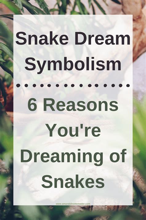 Snake Dream Symbolism: 6 Reasons You're Dreaming of Snakes — Amanda ...