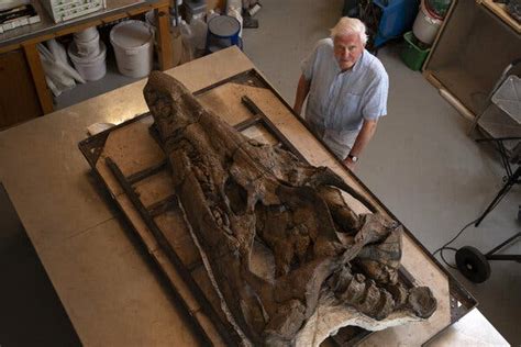 Skull of Ancient ‘Sea Monster’ With Dagger-Like Teeth Goes on Display in England - The New York ...