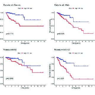 Survival Differences Between High And Low Risk Crc Patients