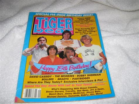 Vintage Tiger Beat Magazine 1980 By Eclecticpaperpenguin On Etsy