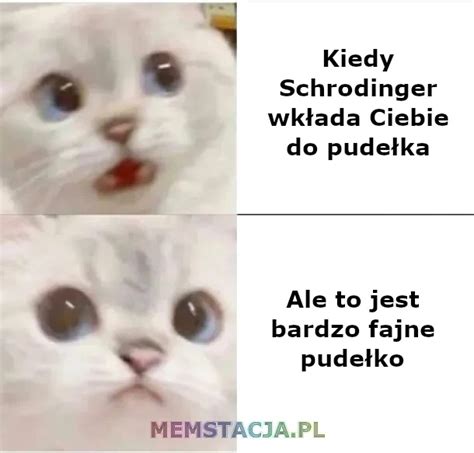 Pudełko Schrödingera memstacja pl