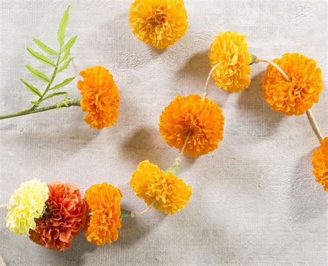 How to Make Marigold Paper Flowers | Paper flower garlands, Tissue paper flowers, Paper flowers